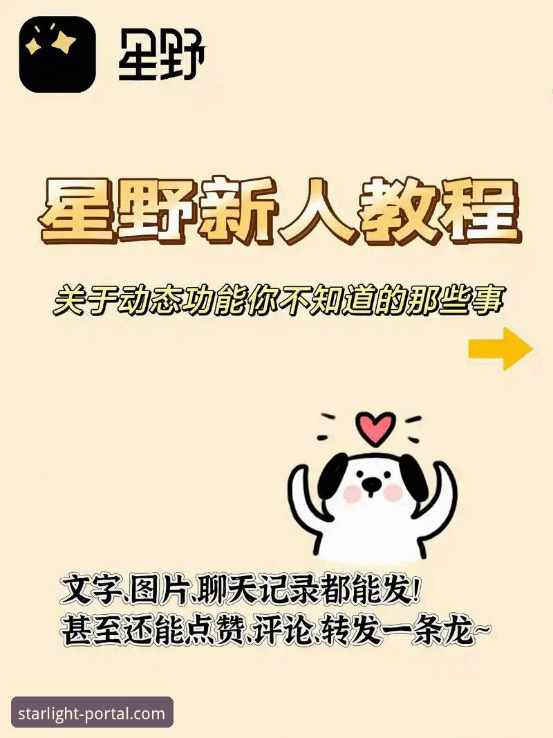 星空入口平台操作教程：从下载到安装的完整指南