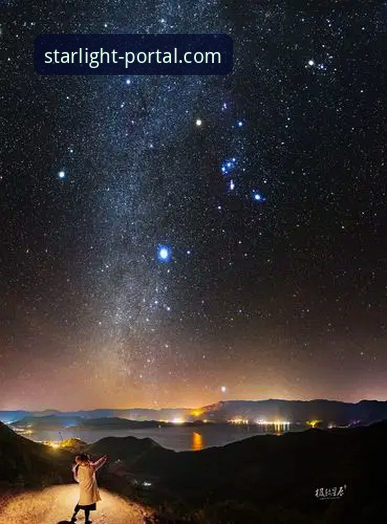 星空入口官方网站安卓版 vs 苹果版：哪个版本更值得下载？一次全面的官方App评测