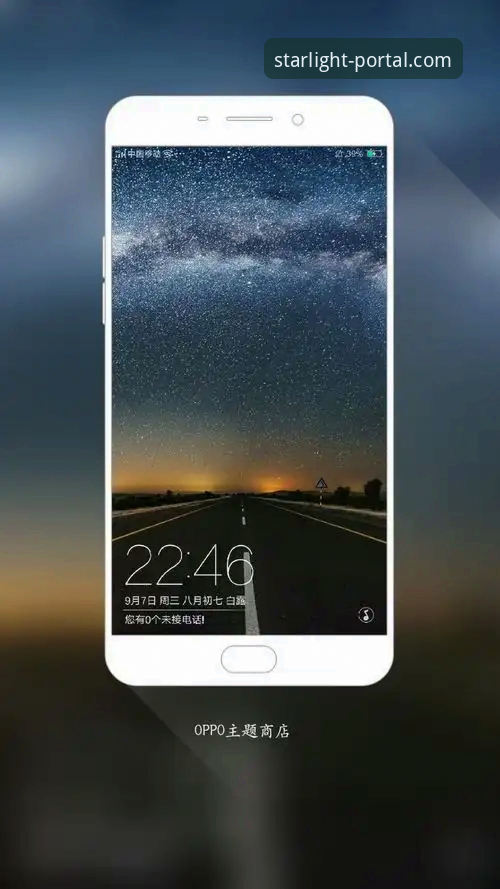星空入口应用商店评测：为什么它成为移动端应用下载的首选平台？